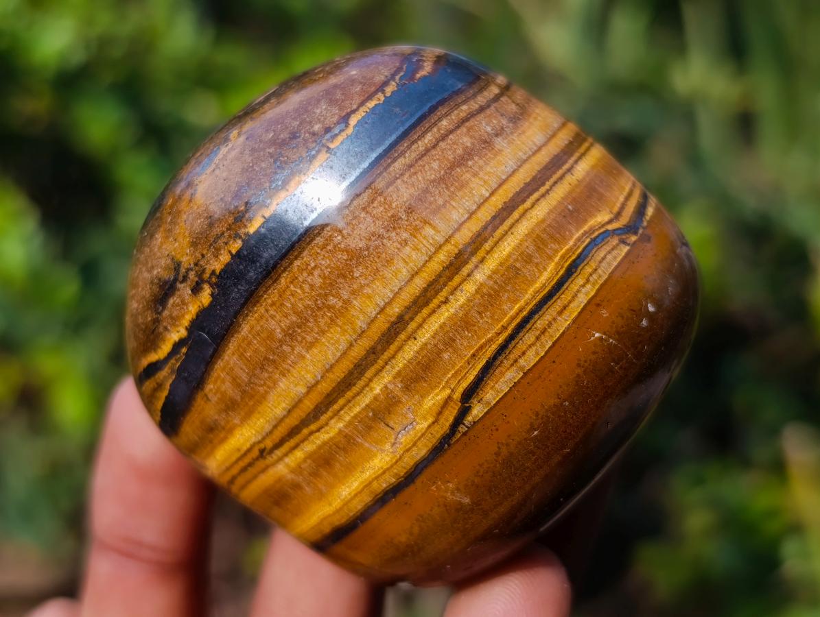 Polished Golden Tigers Eye Free Forms x 6 From Prieska, South Africa