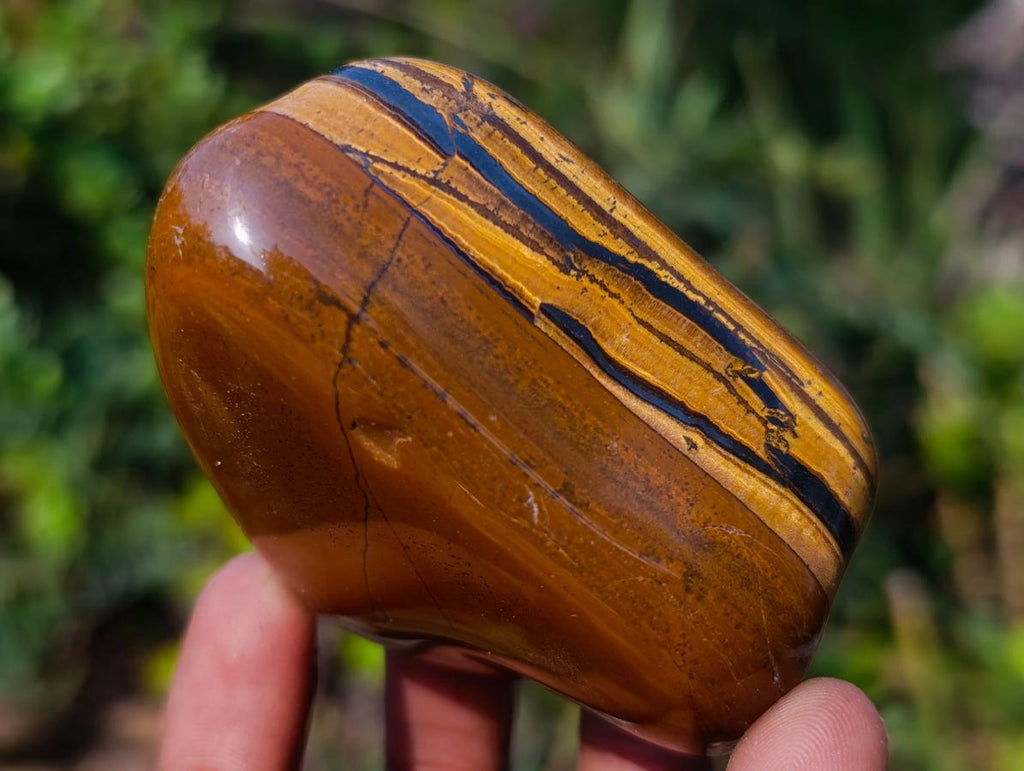 Polished Golden Tigers Eye Free Forms x 6 From Prieska, South Africa