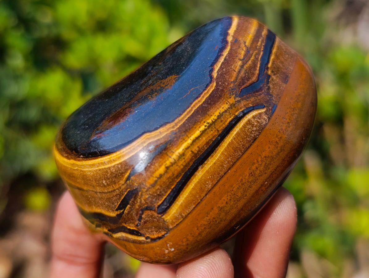 Polished Golden Tigers Eye Free Forms x 6 From Prieska, South Africa
