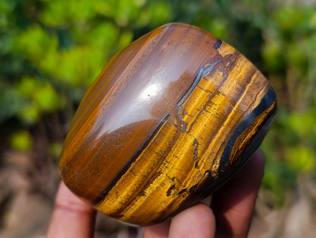 Polished Golden Tigers Eye Free Forms x 6 From Prieska, South Africa