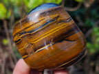Polished Golden Tigers Eye Free Forms x 6 From Prieska, South Africa