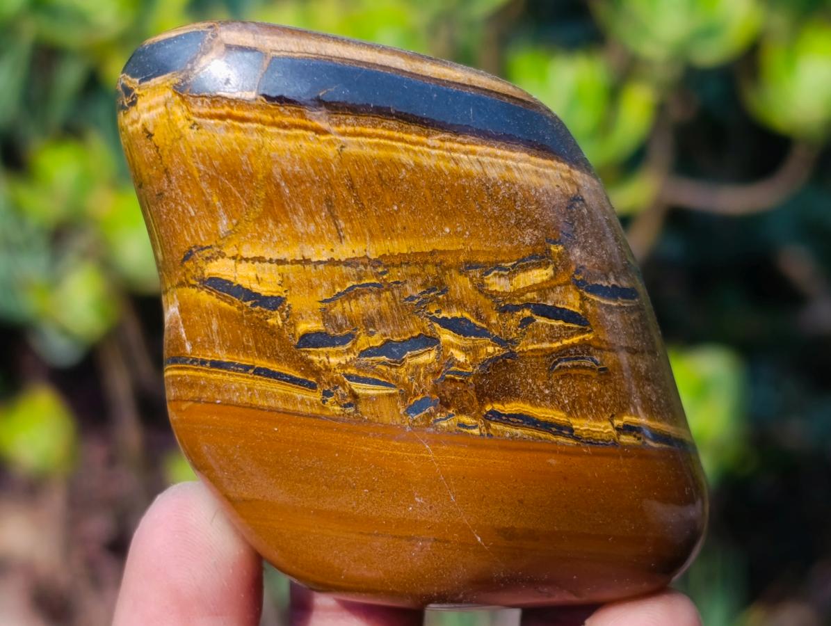 Polished Golden Tigers Eye Free Forms x 6 From Prieska, South Africa