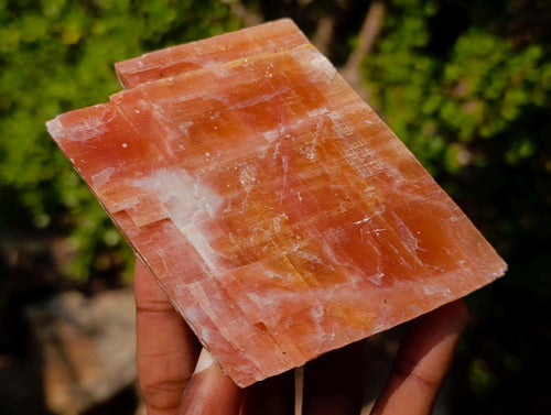 Natural XL Rhombohedral Sunset Orange Calcite Specimens x 3 From Spitzkop, Namibia