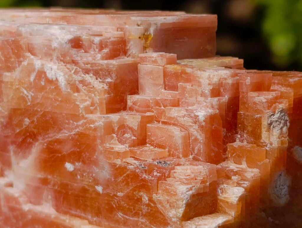 Natural XL Rhombohedral Sunset Orange Calcite Specimens x 3 From Spitzkop, Namibia