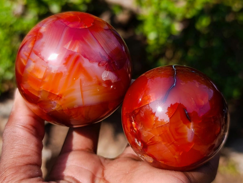 Polished Carnelian Agate Gemstone Spheres x 6 From Madagascar
