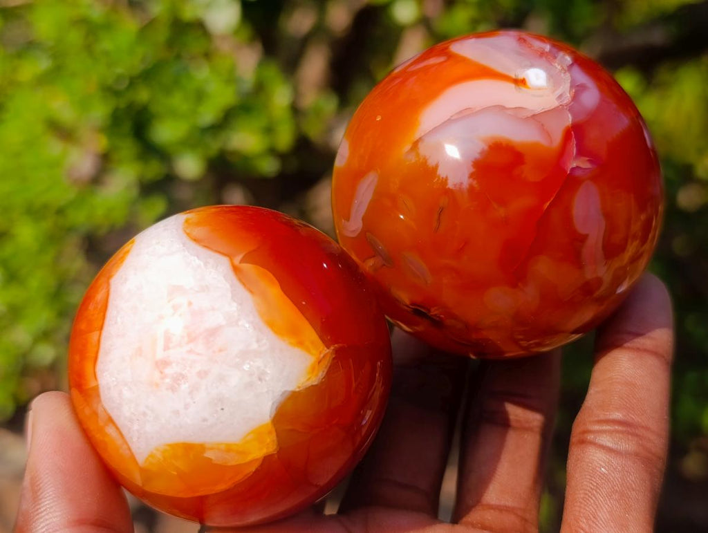 Polished Carnelian Agate Gemstone Spheres x 6 From Madagascar