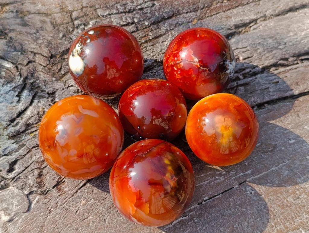 Polished Carnelian Agate Gemstone Spheres x 6 From Madagascar