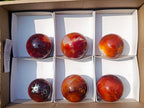 Polished Carnelian Agate Gemstone Spheres x 6 From Madagascar