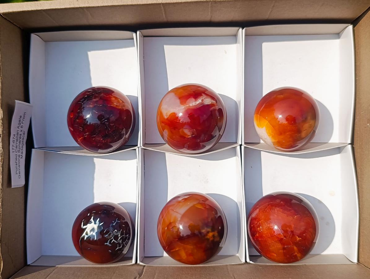 Polished Carnelian Agate Gemstone Spheres x 6 From Madagascar