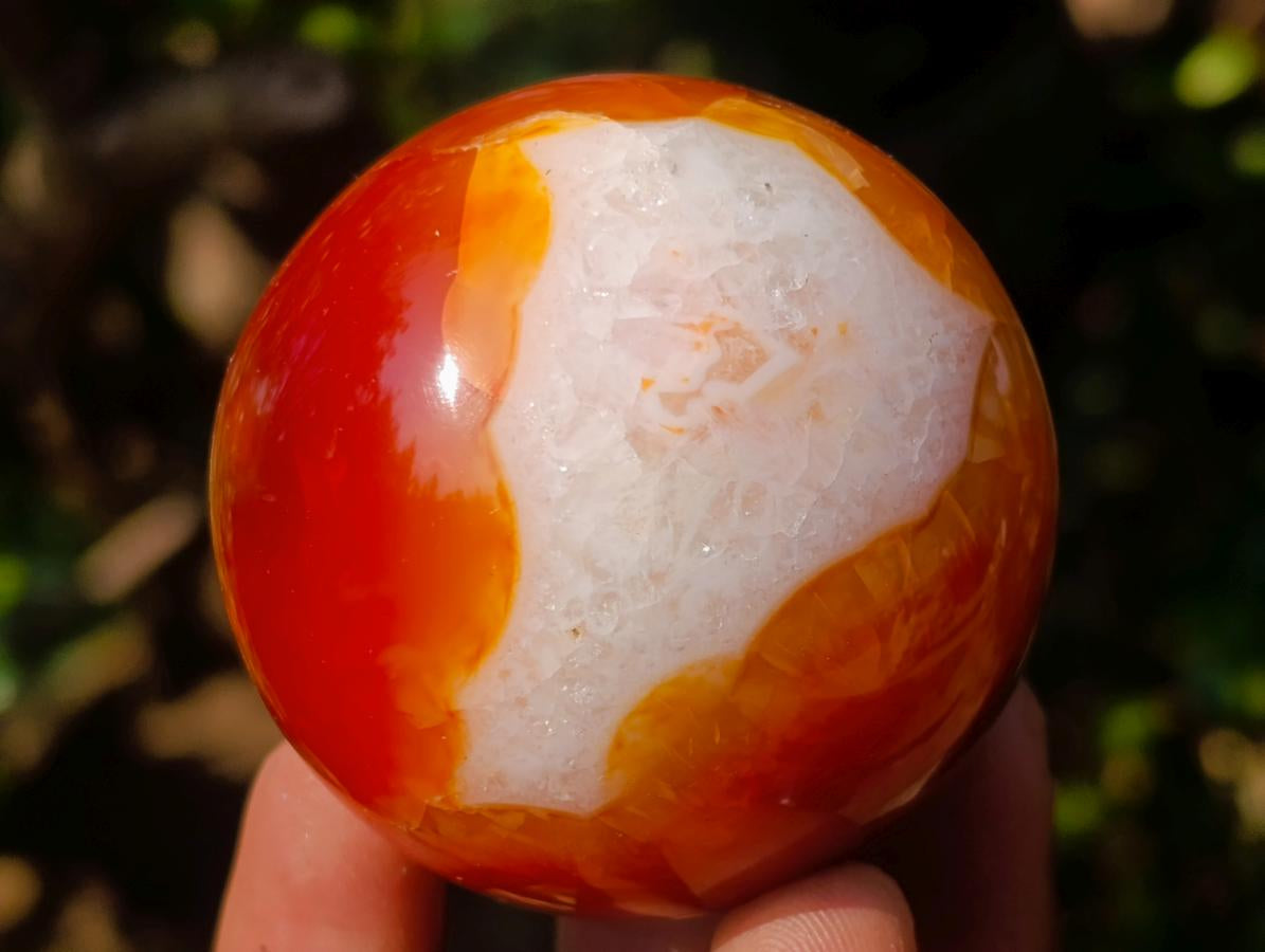 Polished Carnelian Agate Gemstone Spheres x 6 From Madagascar