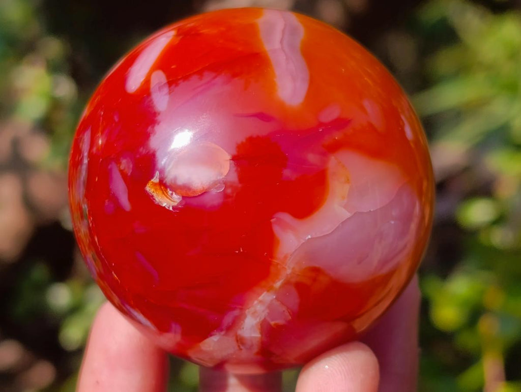 Polished Carnelian Agate Gemstone Spheres x 6 From Madagascar