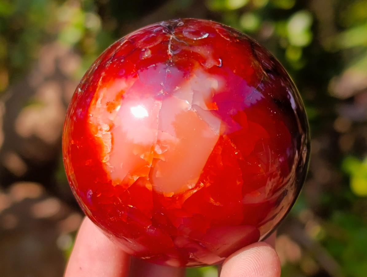 Polished Carnelian Agate Gemstone Spheres x 6 From Madagascar