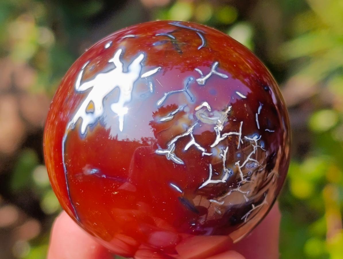 Polished Carnelian Agate Gemstone Spheres x 6 From Madagascar
