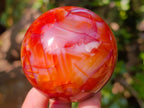 Polished Carnelian Agate Gemstone Spheres x 6 From Madagascar