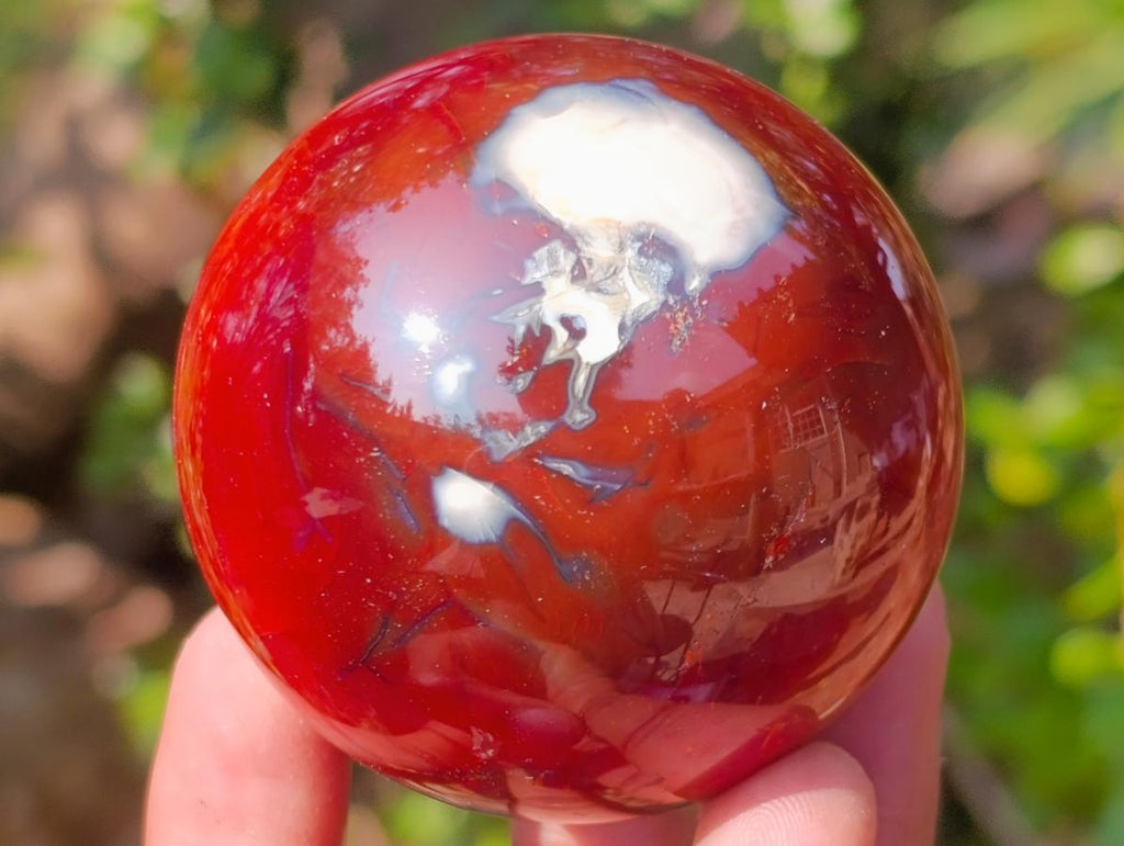 Polished Carnelian Agate Gemstone Spheres x 6 From Madagascar