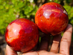 Polished Carnelian Agate Gemstone Spheres x 6 From Madagascar