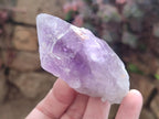 Natural Jacaranda Amethyst Single Crystals x 12 From Mumbwa, Zambia