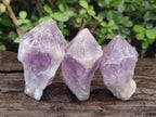 Natural Jacaranda Amethyst Single Crystals x 12 From Mumbwa, Zambia