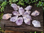 Natural Jacaranda Amethyst Single Crystals x 12 From Mumbwa, Zambia