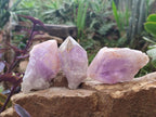 Natural Jacaranda Amethyst Single Crystals x 12 From Mumbwa, Zambia