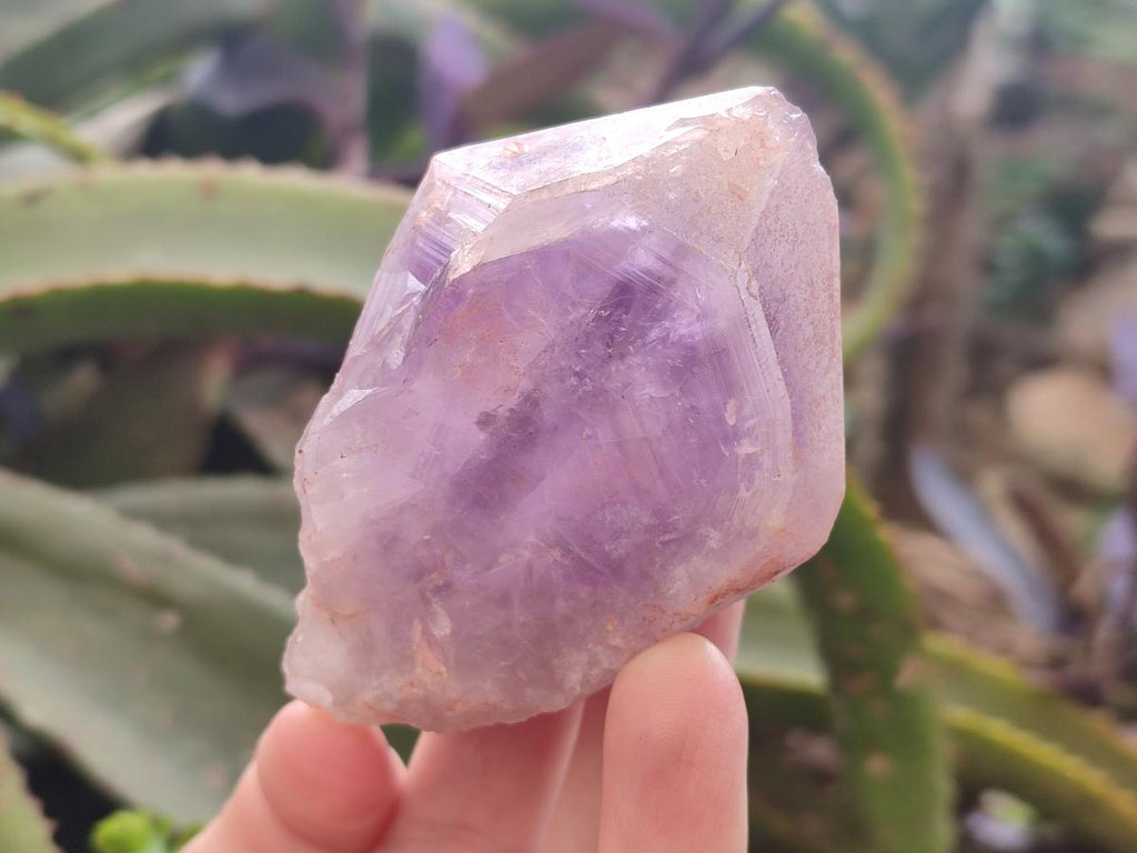 Natural Jacaranda Amethyst Single Crystals x 12 From Mumbwa, Zambia