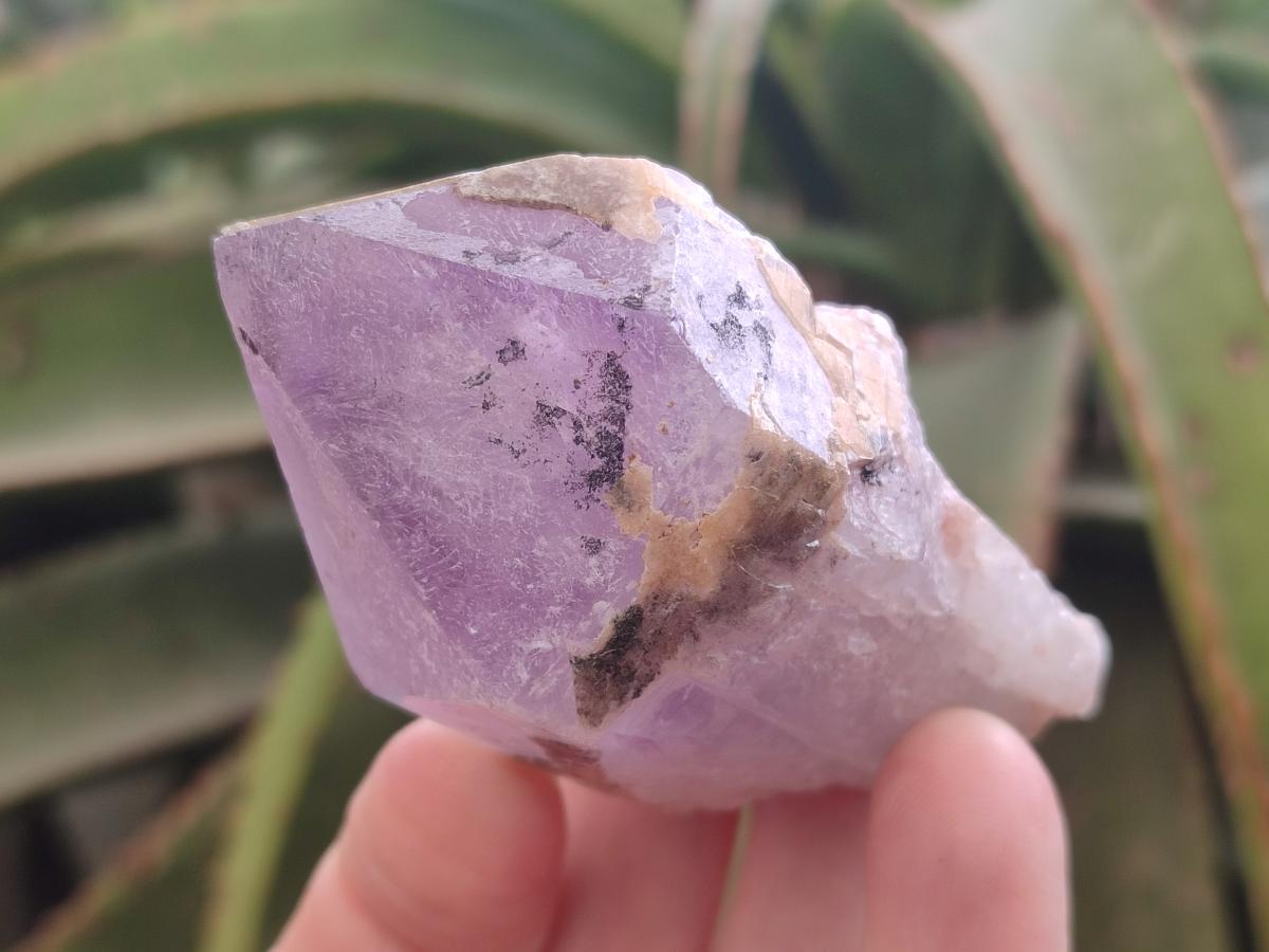 Natural Jacaranda Amethyst Single Crystals x 12 From Mumbwa, Zambia