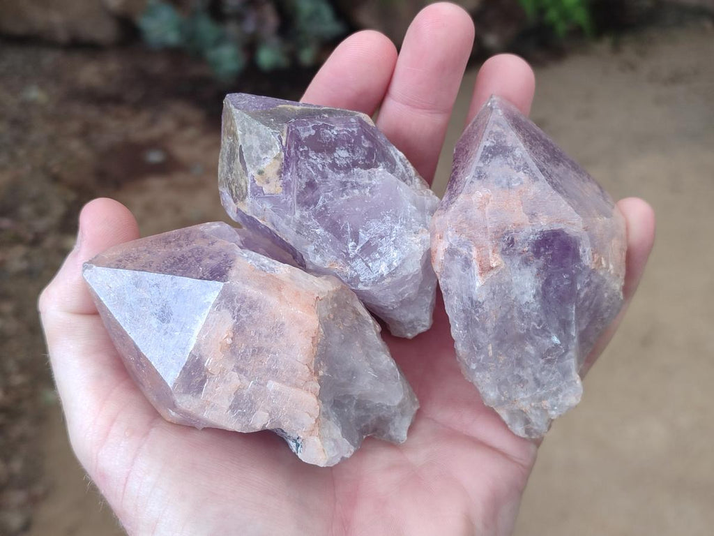 Natural Jacaranda Amethyst Single Crystals x 12 From Mumbwa, Zambia