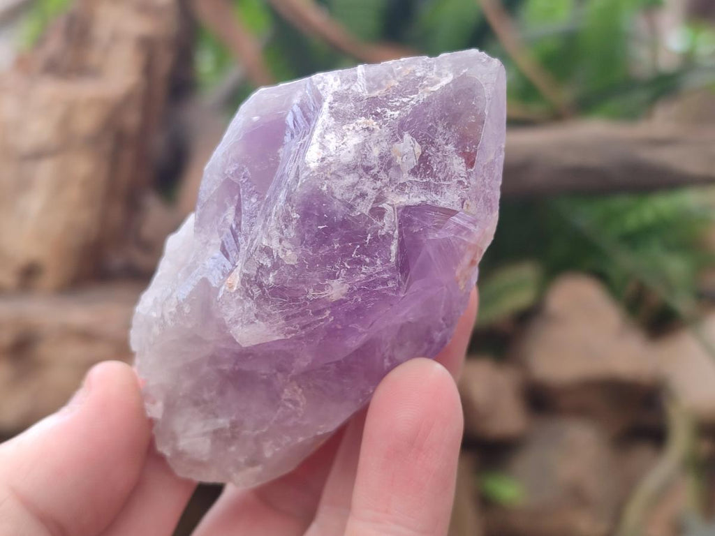Natural Jacaranda Amethyst Single Crystals x 12 From Mumbwa, Zambia
