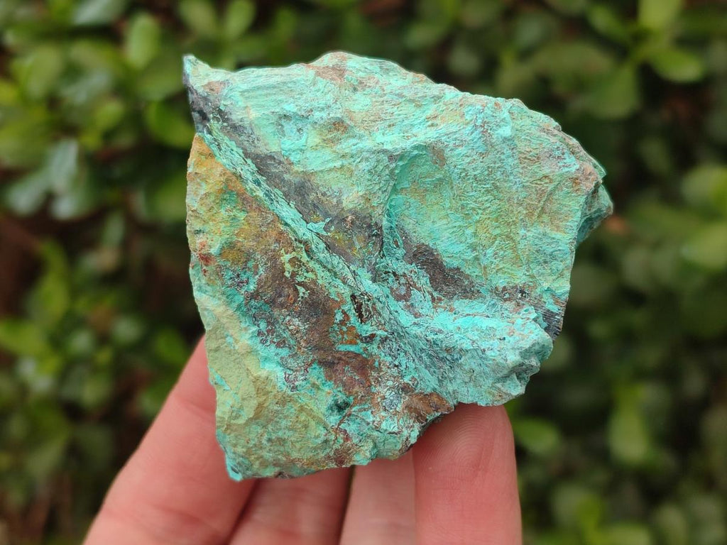 Natural Shattuckite Cobbed Specimens with Associated Minerals x 24 From Kaokoveld, Namibia