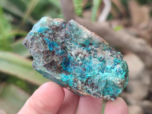 Natural Shattuckite Cobbed Specimens with Associated Minerals x 24 From Kaokoveld, Namibia