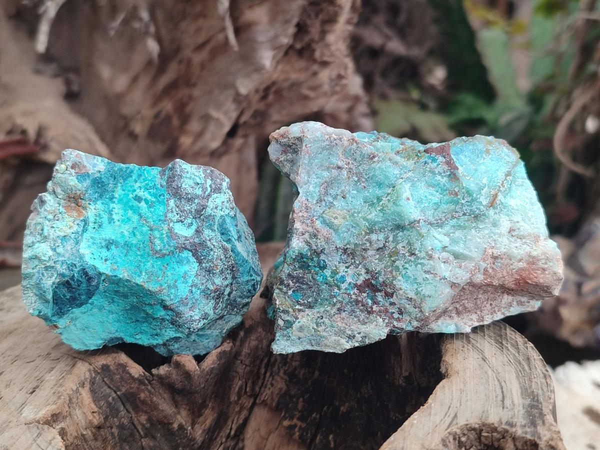 Natural Shattuckite Cobbed Specimens with Associated Minerals x 24 From Kaokoveld, Namibia