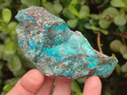 Natural Shattuckite Cobbed Specimens with Associated Minerals x 24 From Kaokoveld, Namibia