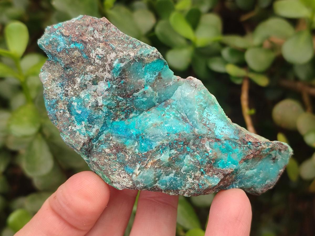 Natural Shattuckite Cobbed Specimens with Associated Minerals x 24 From Kaokoveld, Namibia