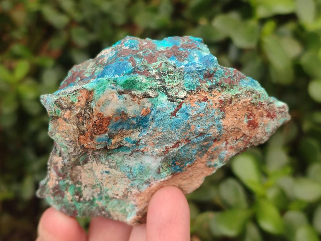 Natural Shattuckite Cobbed Specimens with Associated Minerals x 24 From Kaokoveld, Namibia