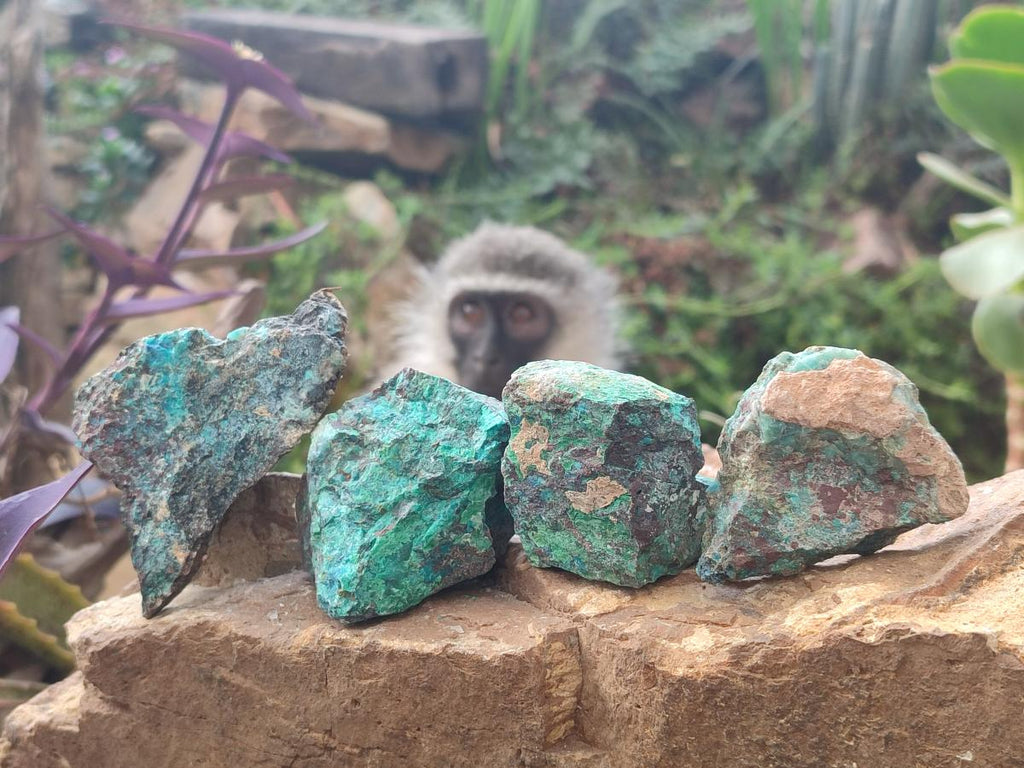 Natural Shattuckite Cobbed Specimens with Associated Minerals x 24 From Kaokoveld, Namibia