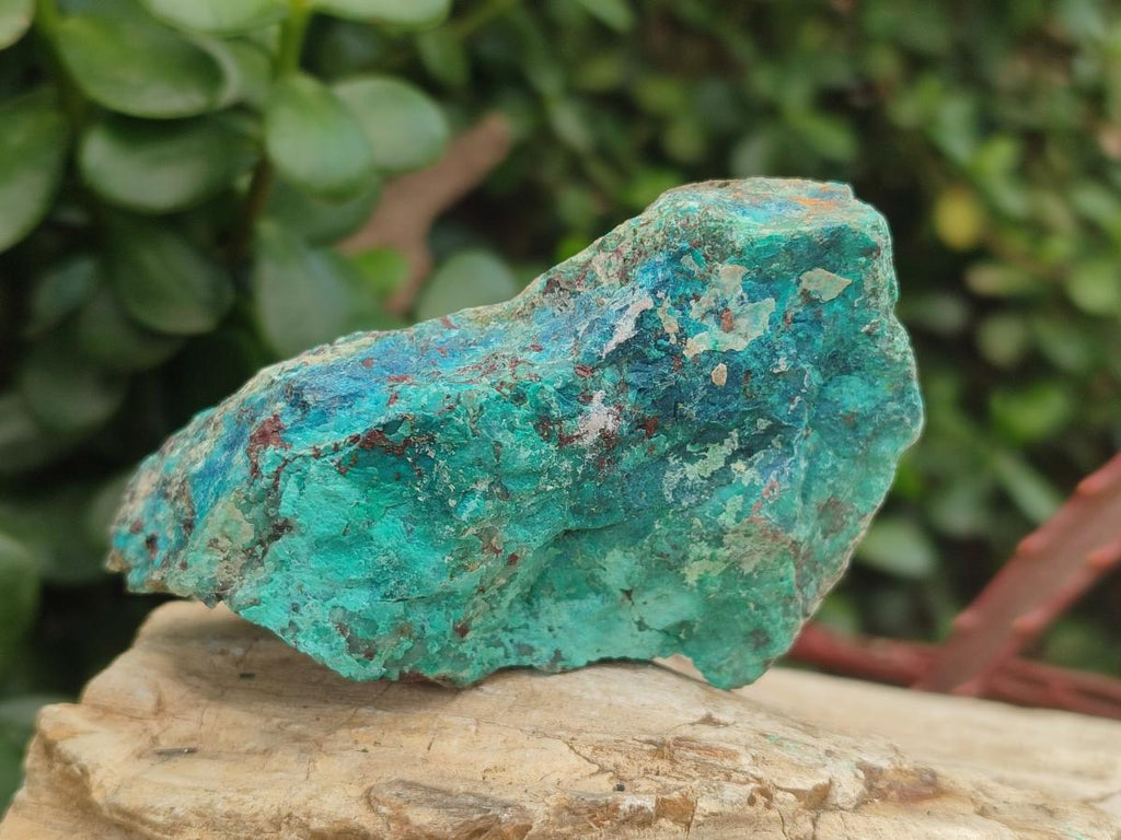 Natural Shattuckite Cobbed Specimens with Associated Minerals x 24 From Kaokoveld, Namibia