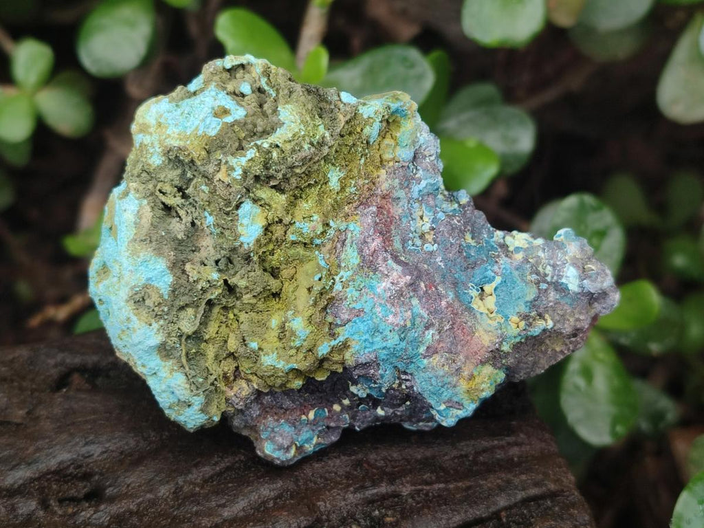 Natural Shattuckite Cobbed Specimens with Associated Minerals x 24 From Kaokoveld, Namibia