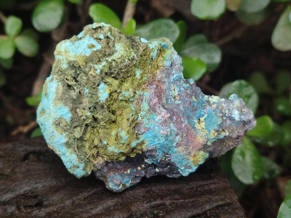 Natural Shattuckite Cobbed Specimens with Associated Minerals x 24 From Kaokoveld, Namibia