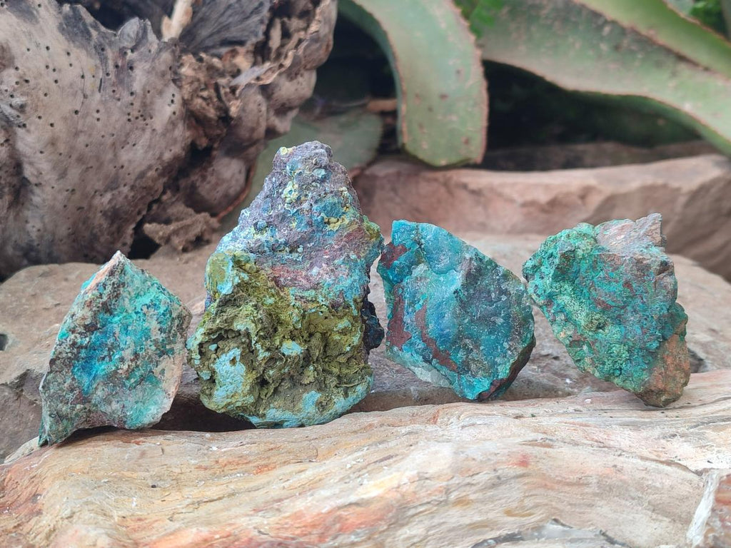 Natural Shattuckite Cobbed Specimens with Associated Minerals x 24 From Kaokoveld, Namibia