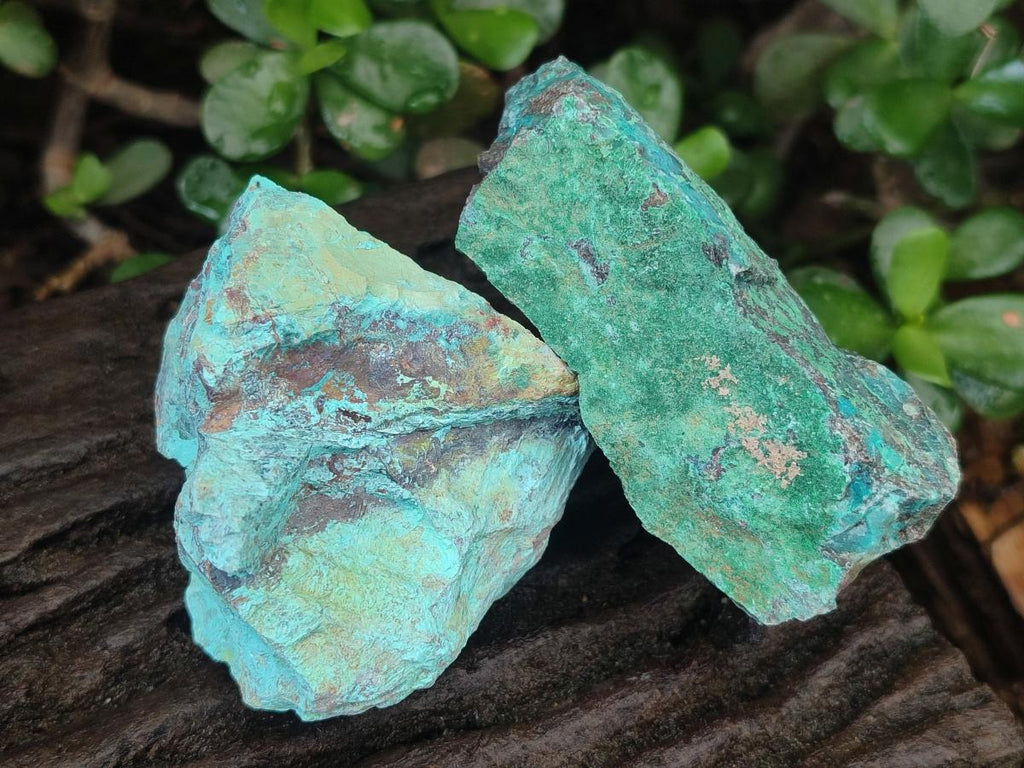 Natural Shattuckite Cobbed Specimens with Associated Minerals x 24 From Kaokoveld, Namibia