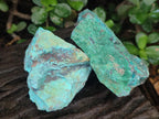 Natural Shattuckite Cobbed Specimens with Associated Minerals x 24 From Kaokoveld, Namibia