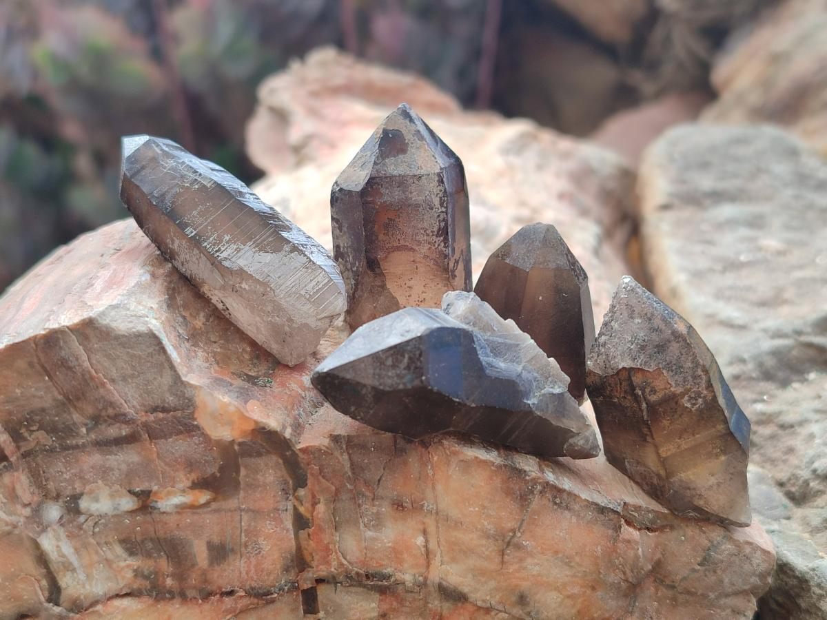 Natural Mix of Mineral Specimens x 41 From Erongo, Namibia