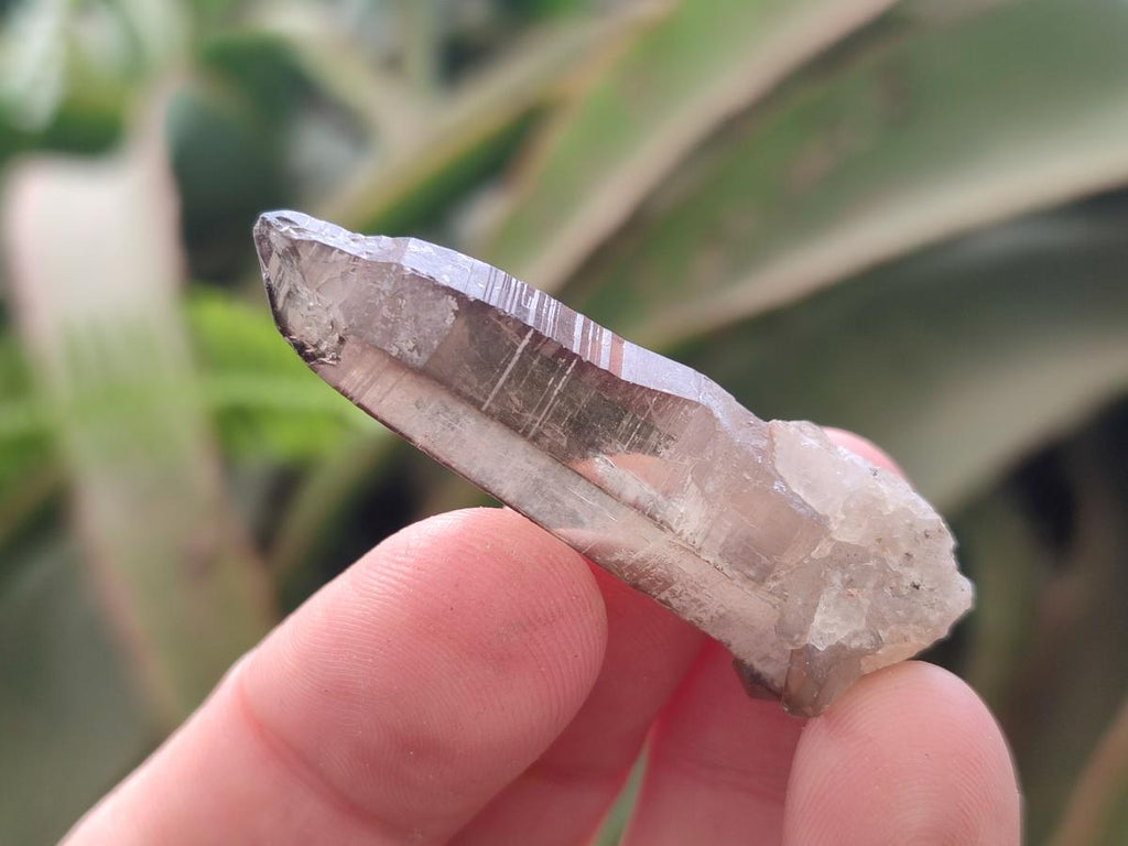 Natural Mix of Mineral Specimens x 41 From Erongo, Namibia