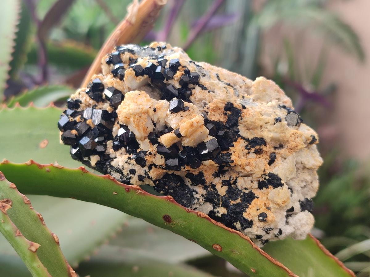 Natural Mix of Mineral Specimens x 41 From Erongo, Namibia