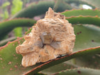 Natural Mix of Mineral Specimens x 41 From Erongo, Namibia