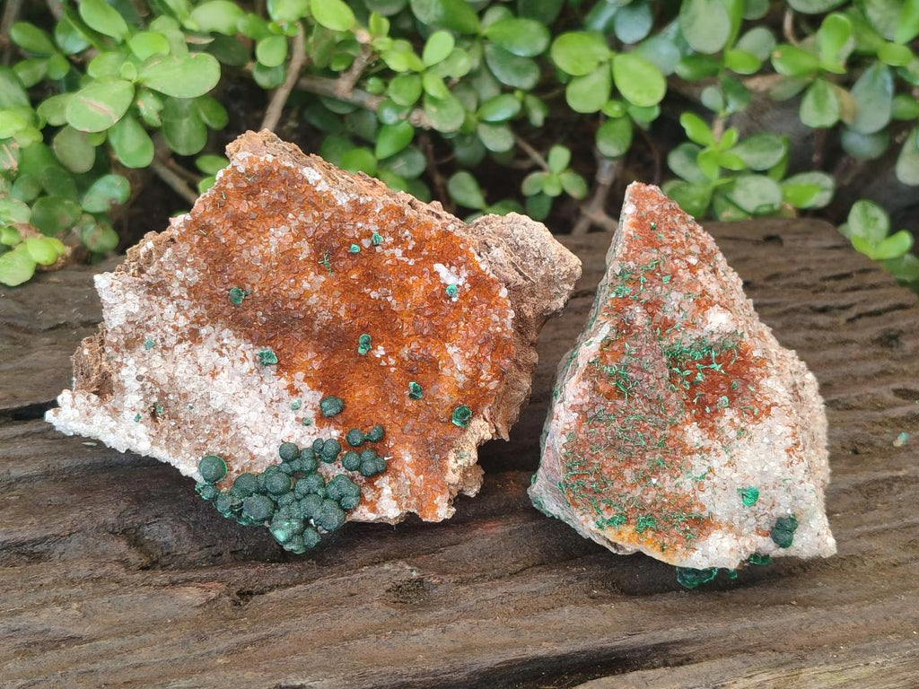 Natural Ball Malachite Specimens Coated with Drusy Quartz on Dolomite  x 2 From Mindingi Mine, Kambove, Congo