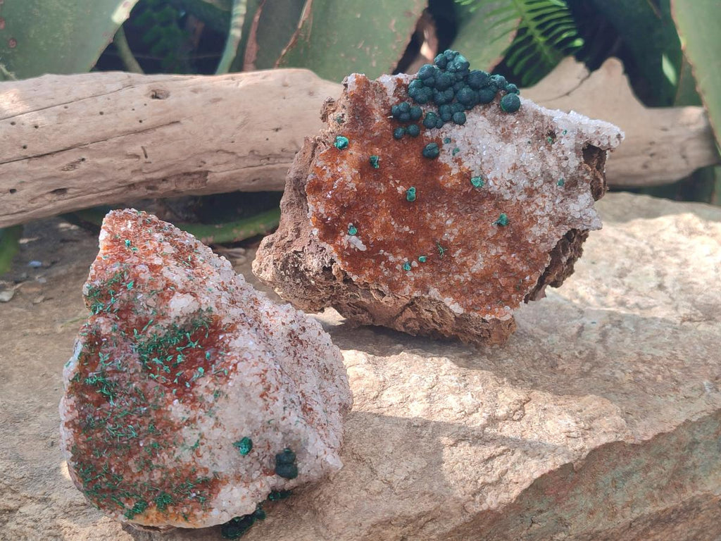 Natural Ball Malachite Specimens Coated with Drusy Quartz on Dolomite  x 2 From Mindingi Mine, Kambove, Congo