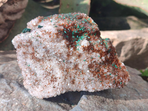 Natural Ball Malachite Specimens Coated with Drusy Quartz on Dolomite  x 2 From Mindingi Mine, Kambove, Congo