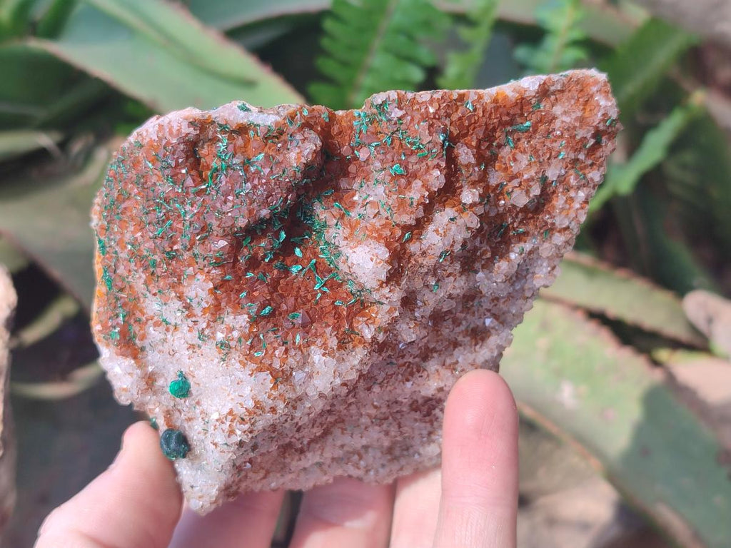 Natural Ball Malachite Specimens Coated with Drusy Quartz on Dolomite  x 2 From Mindingi Mine, Kambove, Congo