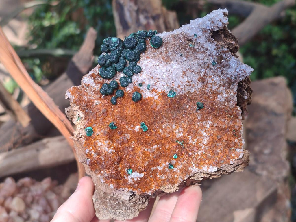 Natural Ball Malachite Specimens Coated with Drusy Quartz on Dolomite  x 2 From Mindingi Mine, Kambove, Congo